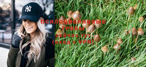 скорость Михайловск